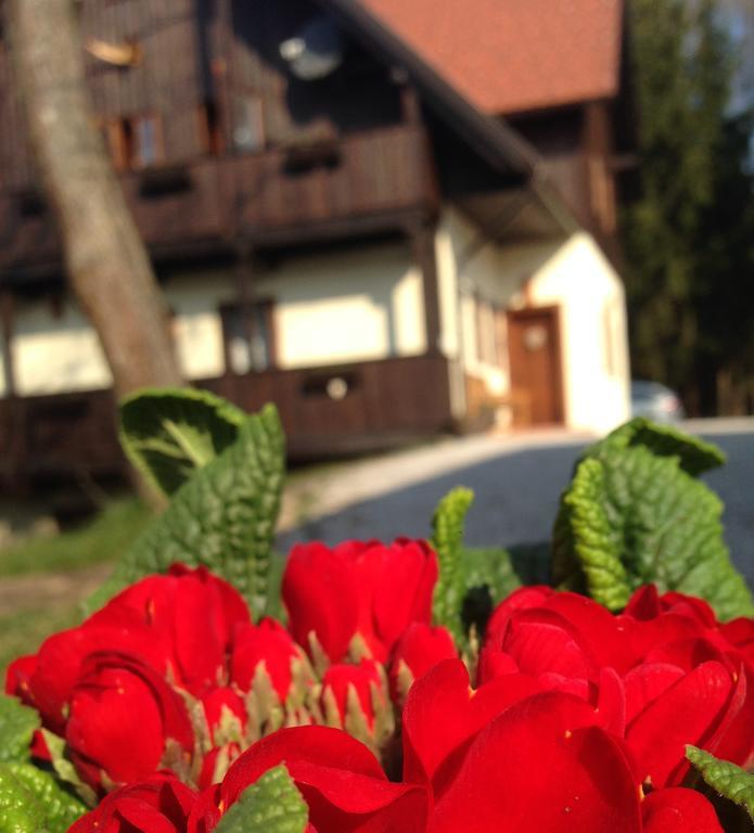 Pomona Relaxing Nature Guest House Rogaska Slatina Luaran gambar