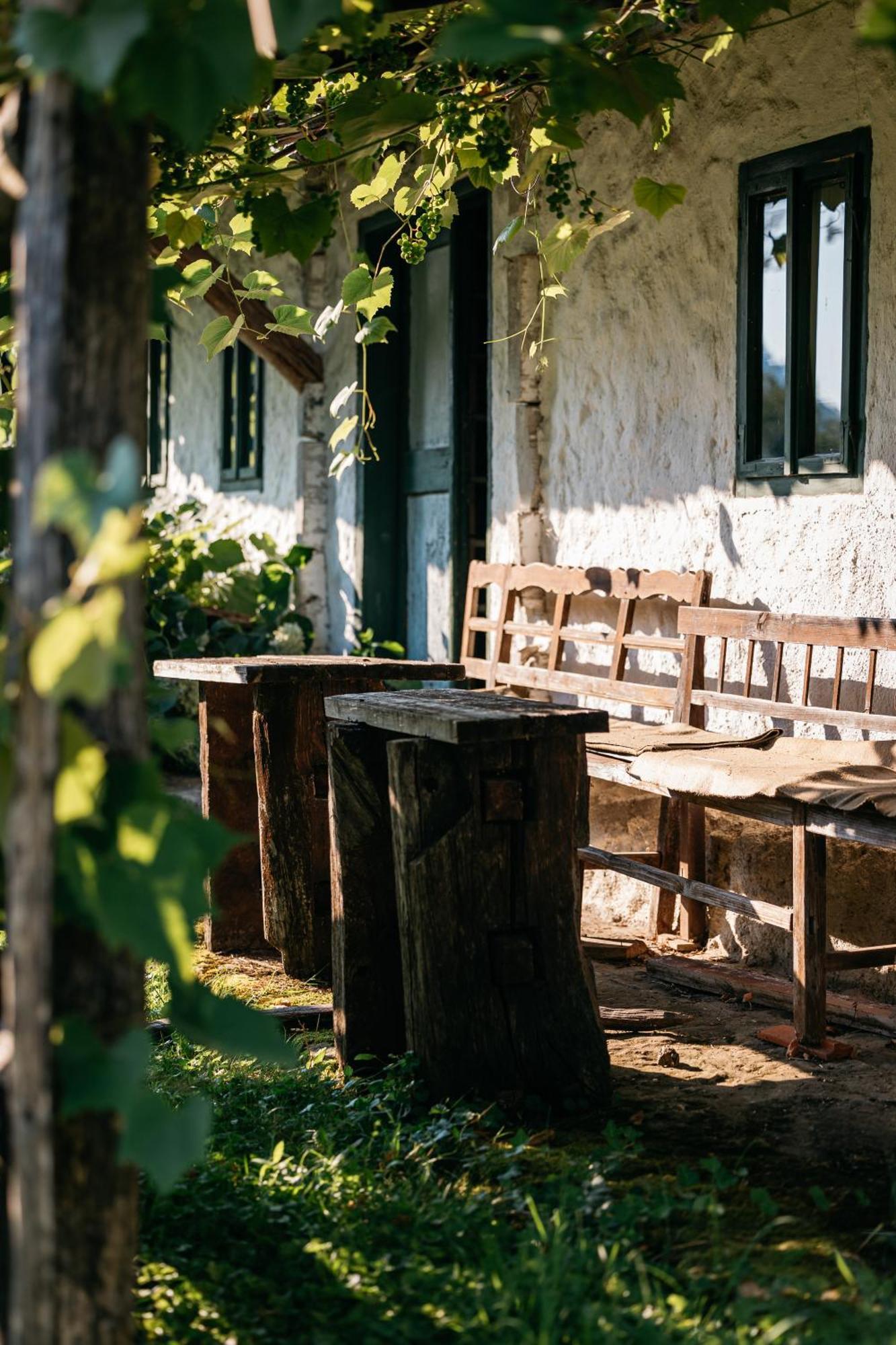 Pomona Relaxing Nature Guest House Rogaska Slatina Luaran gambar